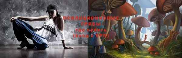 спиды Михайловск