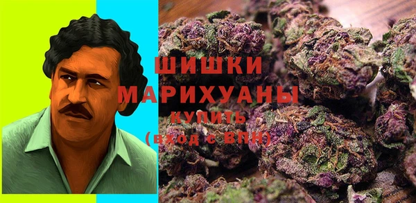бошки Новодвинск