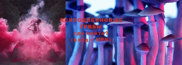 дживик Нея