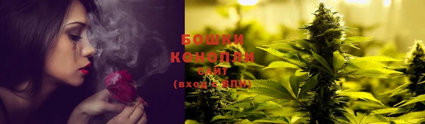 бошки Новодвинск