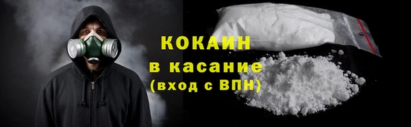 2c-b Новозыбков