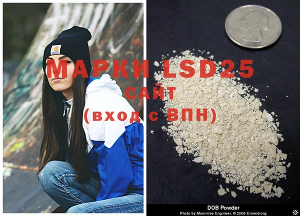 бошки Новодвинск