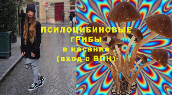 дживик Нея