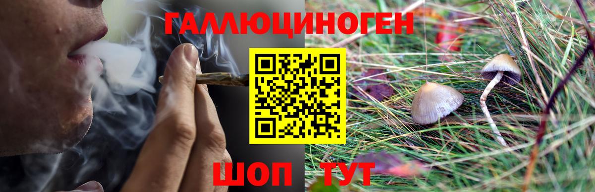 Псилоцибиновые грибы GOLDEN TEACHER Пыть-Ях