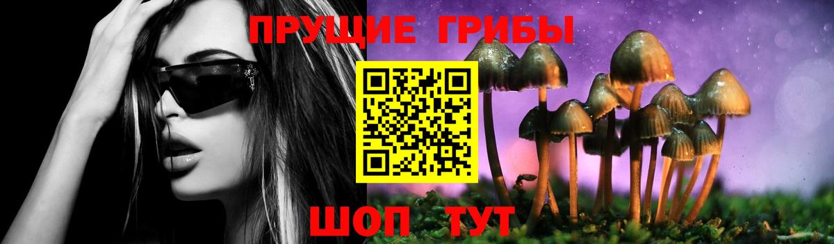 Пыть-Ях  Псилоцибиновые грибы Psilocybine cubensis  Вход с VPN 